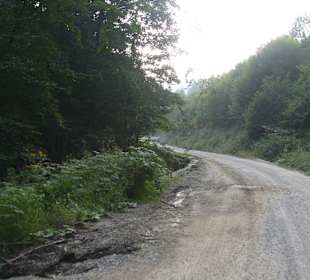 Parcul Natural Apuseni