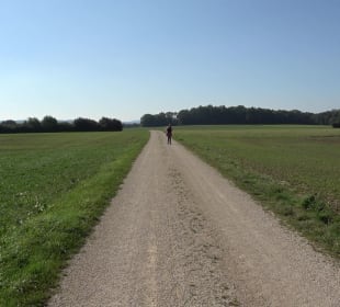 Elsachstadt Tor F Burrenhof Erkenbrechtsweiler