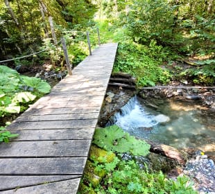 Brücke