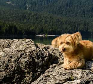 Wandern Murnau am Staffelsee