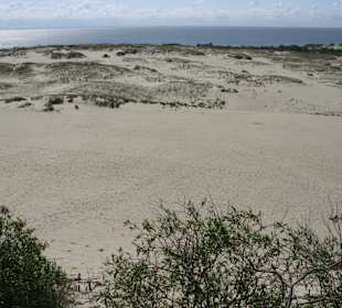 Düne