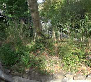 Erlebnispark Tripsdrill