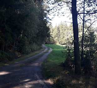 Entlang des Quarzriff Großen Pfahls