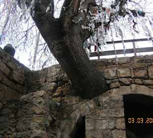 Wunschbaum Agia Salomoni