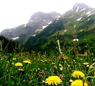 Wandern Holzgau