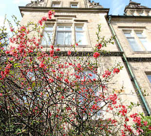 Idylle im Schlospark