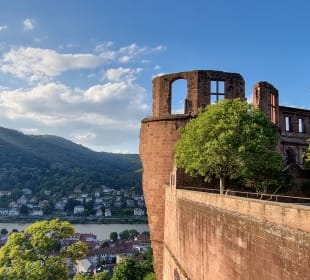 Blick auf die Altstadt und den Neckar