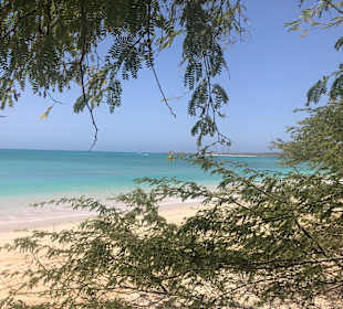 Strand Sal Rei