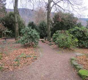 Philosophenweg