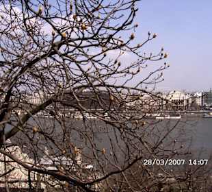 Budapest im März mit Parlament
