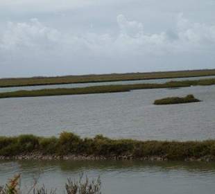 Weg durchs Naturschutzgebiet