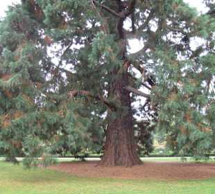 Botanischer Garten