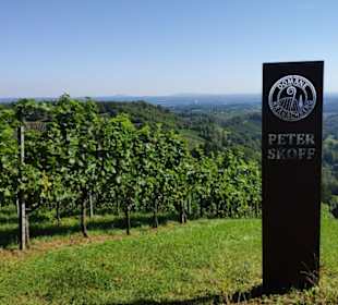 Peter Skoff Weingarten