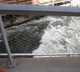 Straßburg im Frühling