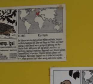 Museum Rosenburg