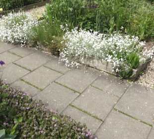 Benediktinerkloster Lorch