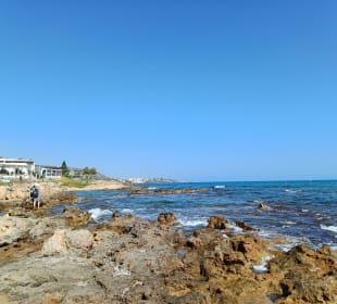 Strand Stalis