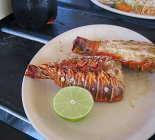 Lobster