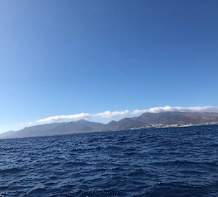 Katamaran Tour Jandia