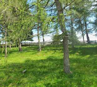 Ritt zu den Stoanernen Mandln