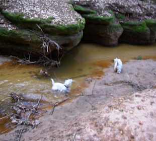 Wasserlauf