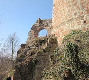 Burgruine Neuscharfeneck