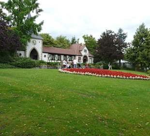 Ein Blick ins Grüne