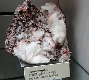 In der Abteilung Mineralogie des Naturkundemuseums