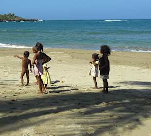 Tropical Jeep Safari
