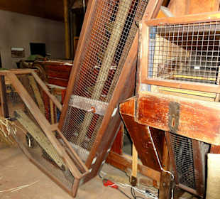 Blick in die Museumsräume