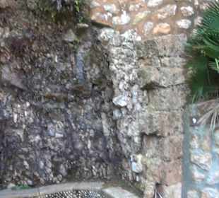 Aussenbereich - Felsengarten