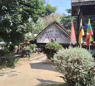 Elephant Village