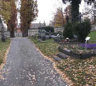 Friedhof