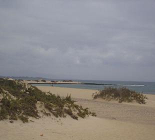 Dünen von Corralejo