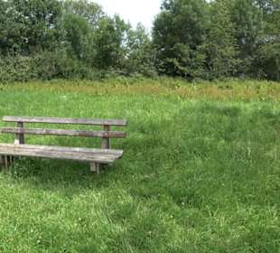 Premiumspazierweg Früchtetrauf-Leisawegle