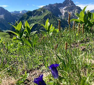 Wandern Hirschegg