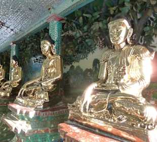 Buddhas in der Pagode