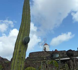 Blick auf die Gofiomühle