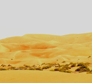 Sanddünen in der Rub al-Khali Wüste - Liwa Oase
