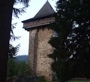 Manastirea Humorului 4