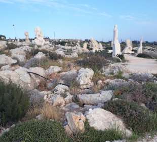 Skulpturenpark