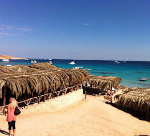 Insel Mahmya, immer einen Ausflug wert!