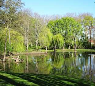 Rundgang durch den Bürgerpark Braunschweig