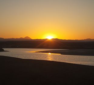 Quad Tour Marsa Alam