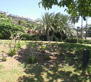 Park