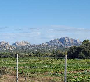 Inselrundfahrt Sardinien