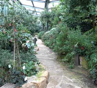 Subtropenhaus