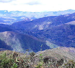 Podocarpus Nationalpark