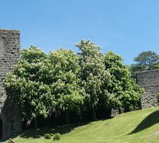 Burg Salzburg von Bad Neustadt