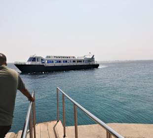 Ankunft der Sea Lion